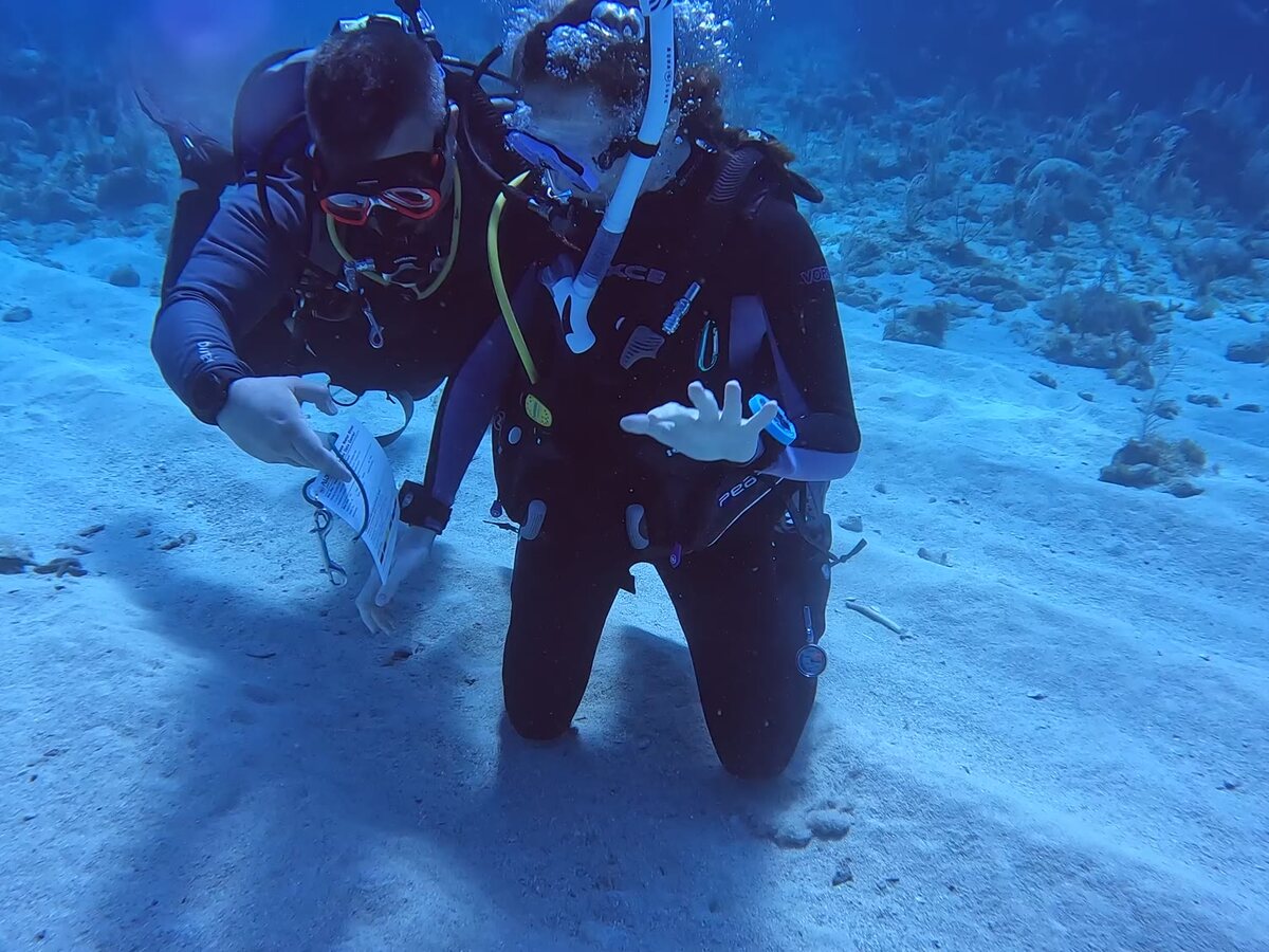 Divers practicing skills on the sand