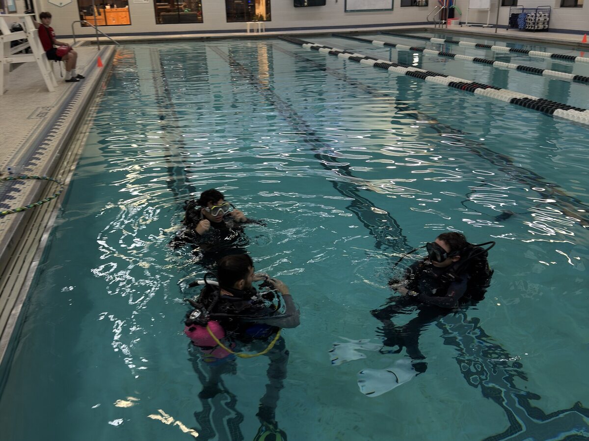 Students practicing skills in the training pool