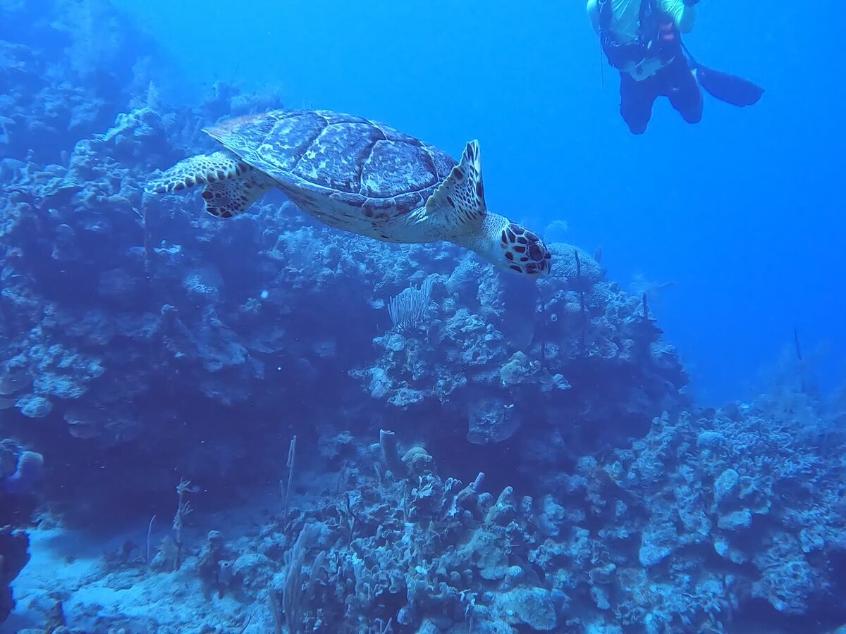 Cozumel, Mexico