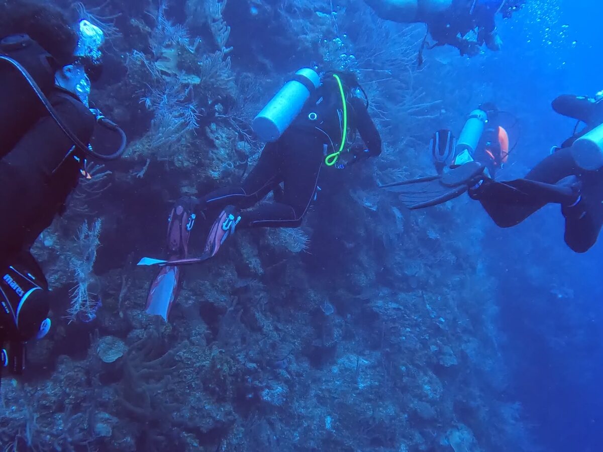 Bonaire